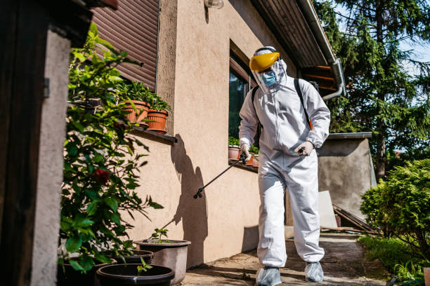 Best Wasp Removal Services  in Bray, OK
