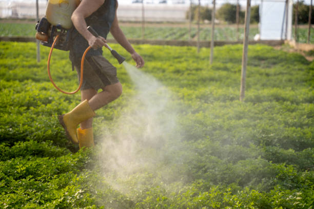 Best Pest Prevention Services  in Bray, OK