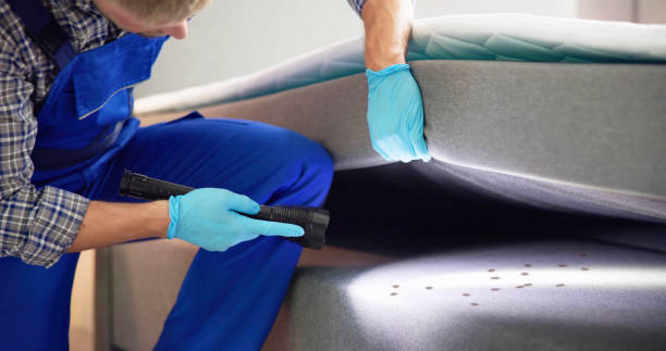 Best Mosquito Control Services  in Bray, OK