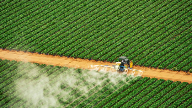 Best Pest Removal Services  in Bray, OK