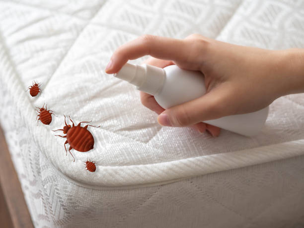 Best Commercial Pest Control Services  in Bray, OK
