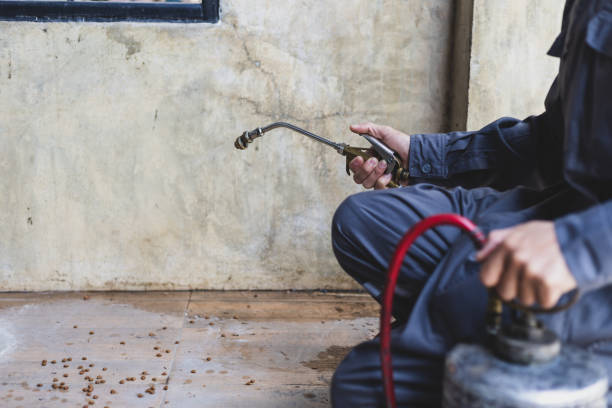 Best Emergency Pest Control  in Bray, OK